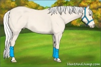 Horse Color:Silver Perlino Roan 
