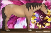 Horse Color:Amber Champagne 