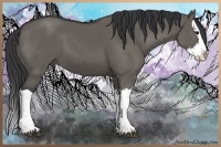 Horse Color:Grullo Splash 