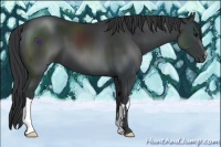 Horse Color:Black Frame 