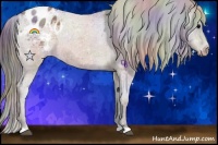 Horse Color:Nacre Brown Appaloosa 