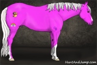 Horse Color:Watercolor Liver Chestnut 