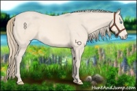 Horse Color:Perlino 