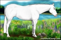 Horse Color:Silver Amber Champagne Roan Frame Snowcap Rabicano