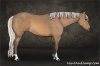 Horse Color:Silver Buckskin 