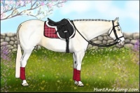 Horse Color:White Spotted Gold Cream Champagne Dun 