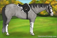Horse Color:Smoky Grullo Roan Splash 