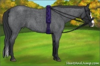 Horse Color:Blue Roan Splash 