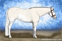 Horse Color:Silver Perlino Roan Splash 