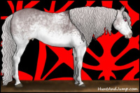 Horse Color:White Spotted Chocolate Silver Brown Chinchilla