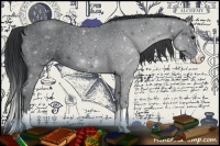 Horse Color:Blue Chinchilla Roan Splash 