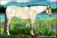 Horse Color:White Spotted Amber Cream Champagne Dun
