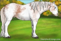 Horse Color:White Spotted Silver Bay Ice Splash