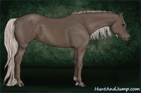 Horse Color:Silver Black 