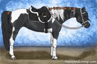 Horse Color:Black Tobiano 