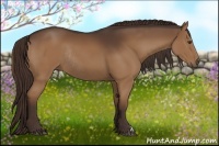 Horse Color:Liver Chestnut Rabicano 