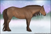 Horse Color:Liver Chestnut 