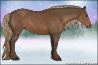 Horse Color:Liver Chestnut Sabino
