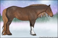 Horse Color:Liver Chestnut 