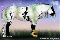 Horse Color:Watercolor White Spotted Silver Bay Ice Sabino Splash