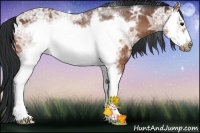 Horse Color:White Spotted Bay Ice Frame 