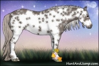 Horse Color:White Spotted Silver Black Frame 
