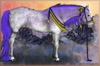 Horse Color:Watercolor White Spotted Bay Ice 
