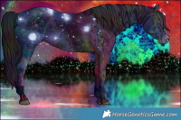 Horse Color:ERROR: UNKNOWN ANOMALY and ERROR: UNKNOWN ANOMALY