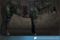 Horse Color:ERROR: UNKNOWN ANOMALY and ERROR: UNKNOWN ANOMALY