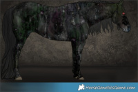 Horse Color:ERROR: UNKNOWN ANOMALY and ERROR: UNKNOWN ANOMALY