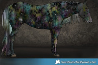 Horse Color:ERROR: UNKNOWN ANOMALY and ERROR: UNKNOWN ANOMALY