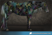 Horse Color:ERROR: UNKNOWN ANOMALY and ERROR: UNKNOWN ANOMALY