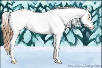 Horse Color:Chestnut Sabino