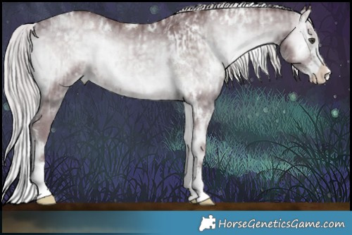 Horse Color:White Spotted Chocolate Silver Grullo Chinchilla Onyx Sabino Brindle and White Spotted Chocolate Silver Blue Onyx Chinchilla Sabino Brindle