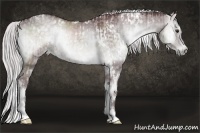 Horse Color:White Spotted Chocolate Silver Grullo Chinchilla Onyx Sabino Brindle  and White Spotted Chocolate Silver Blue Onyx Chinchilla Sabino Brindle 