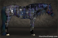 Horse Color:ERROR: UNKNOWN ANOMALY and ERROR: UNKNOWN ANOMALY