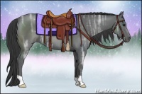 Horse Color:Black Ice 