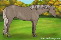 Horse Color:Silver Grullo Brindle