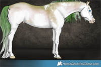 Horse Color:Watercolor White Spotted Sable Champagne Onyx Sabino Splash Brindle
