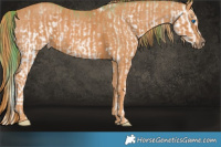 Horse Color:Watercolor White Spotted Sable Champagne Onyx Sabino Splash Brindle
