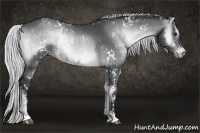 Horse Color:White Spotted Silver Blue Onyx Chinchilla Frame Brindle  and White Spotted Silver Brown Chinchilla Onyx Brindle 