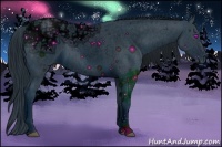 Horse Color:ERROR: UNKNOWN ANOMALY Brindle