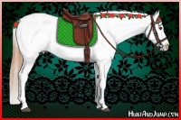 Horse Color:White Spotted Buckskin Tobiano Appaloosa Rabicano and White Spotted Buckskin Tobiano Appaloosa Rabicano