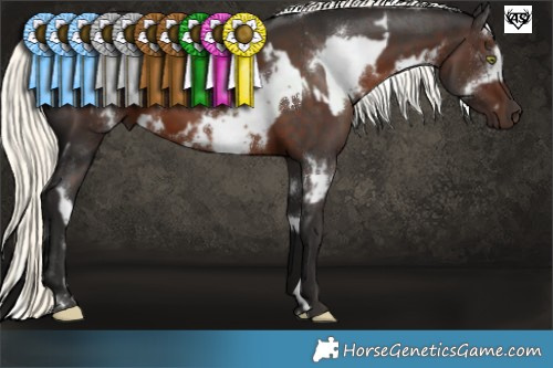 Horse Color:White Spotted Liver Chestnut Mushroom  and White Spotted Liver Chestnut Mushroom 
