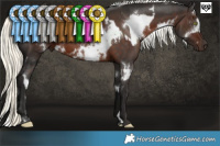 Horse Color:White Spotted Liver Chestnut Mushroom and White Spotted Liver Chestnut Mushroom