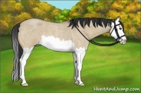 Horse Color:Bay Roan Dun Splash