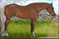 Horse Color:Silver Bay  and Silver Bay 