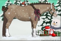 Horse Color:Classic Champagne Splash