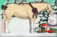 Horse Color:Gold Champagne Dun Splash Tobiano