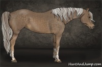 Horse Color:Chocolate Palomino  and Chocolate Palomino 